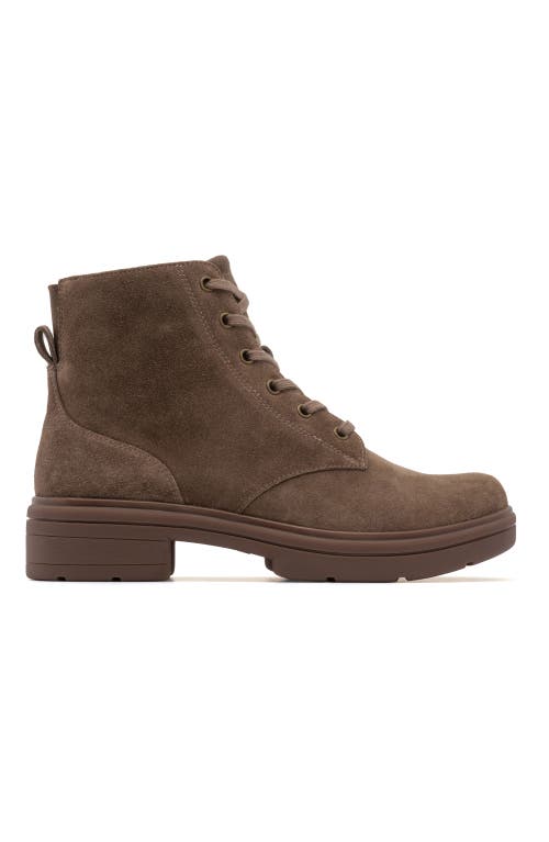 Abeo Vista Lace Boot In Taupe Suede - Regular