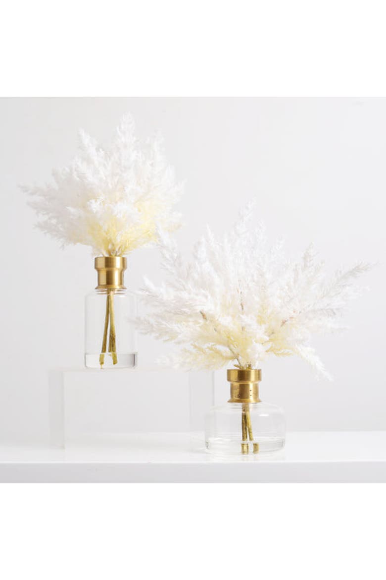 Bleached Pampas Grass Arrangement in Glass Bud Vase, Main, color, White Tall