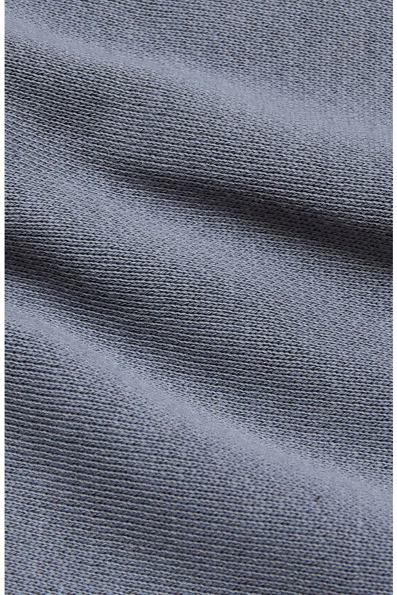 Fleece Zip Hoodie, Alternate, color, DUSTY BLUE