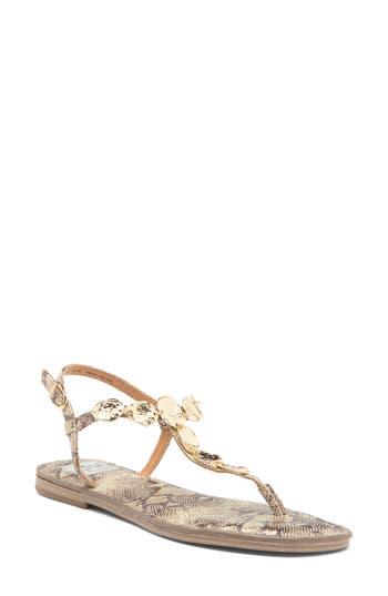 Dolce Vita Dv By Jaime T-strap Sandal In Jaime Exotic