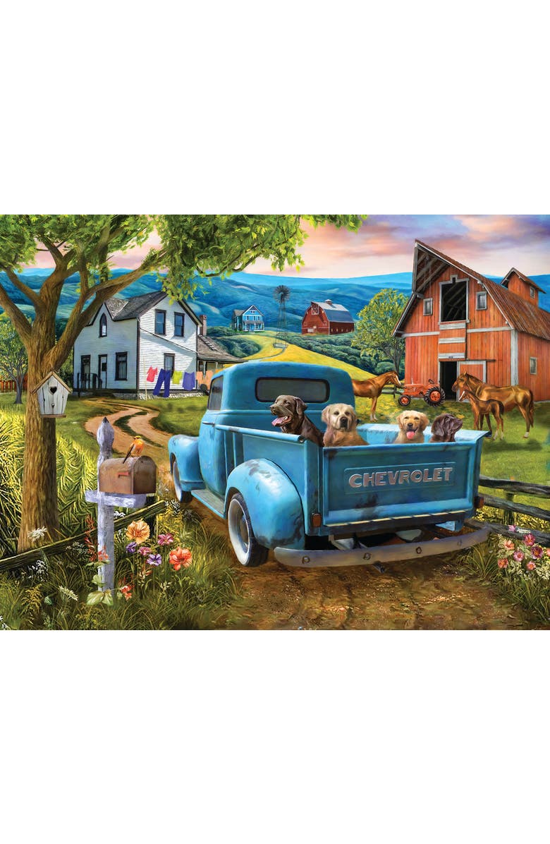 Sunsout Joy Ride 300 piece Jigsaw Puzzle for Adults, Alternate, color, Multicolor