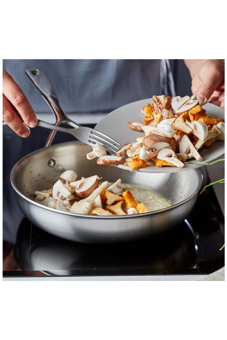 Essential 5-Ply 8-Inch Stainless Steel Frying Pan, Alternate, color, STAINLESS STEEL