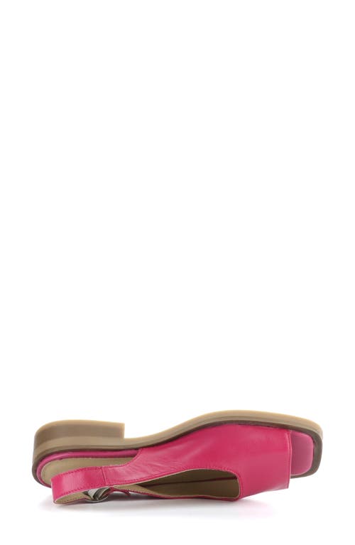 Bos. & Co. Elena Slingback Flat In Magnolia