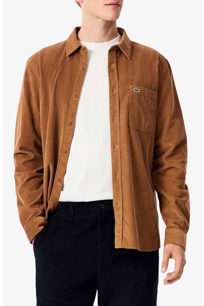 Regular Fit Corduroy Button-Up Shirt, Main, color, DATE BROWN