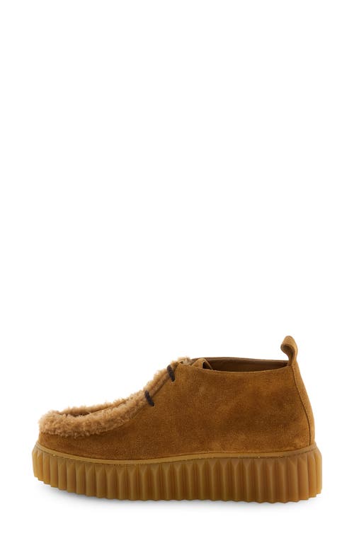 Voile Blanche Penelope Genuine Shearling Platform Bootie In Brown