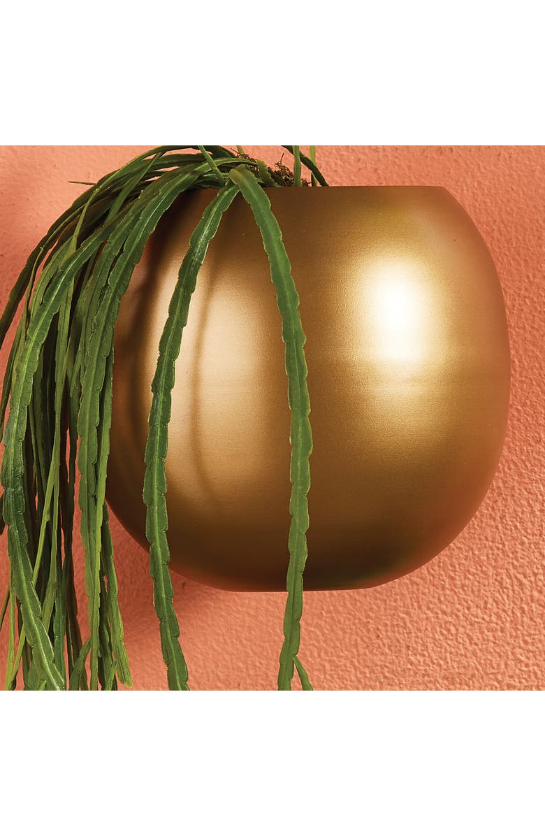 Napa Home & Garden Percy Wall Cachepot, Alternate, color, 