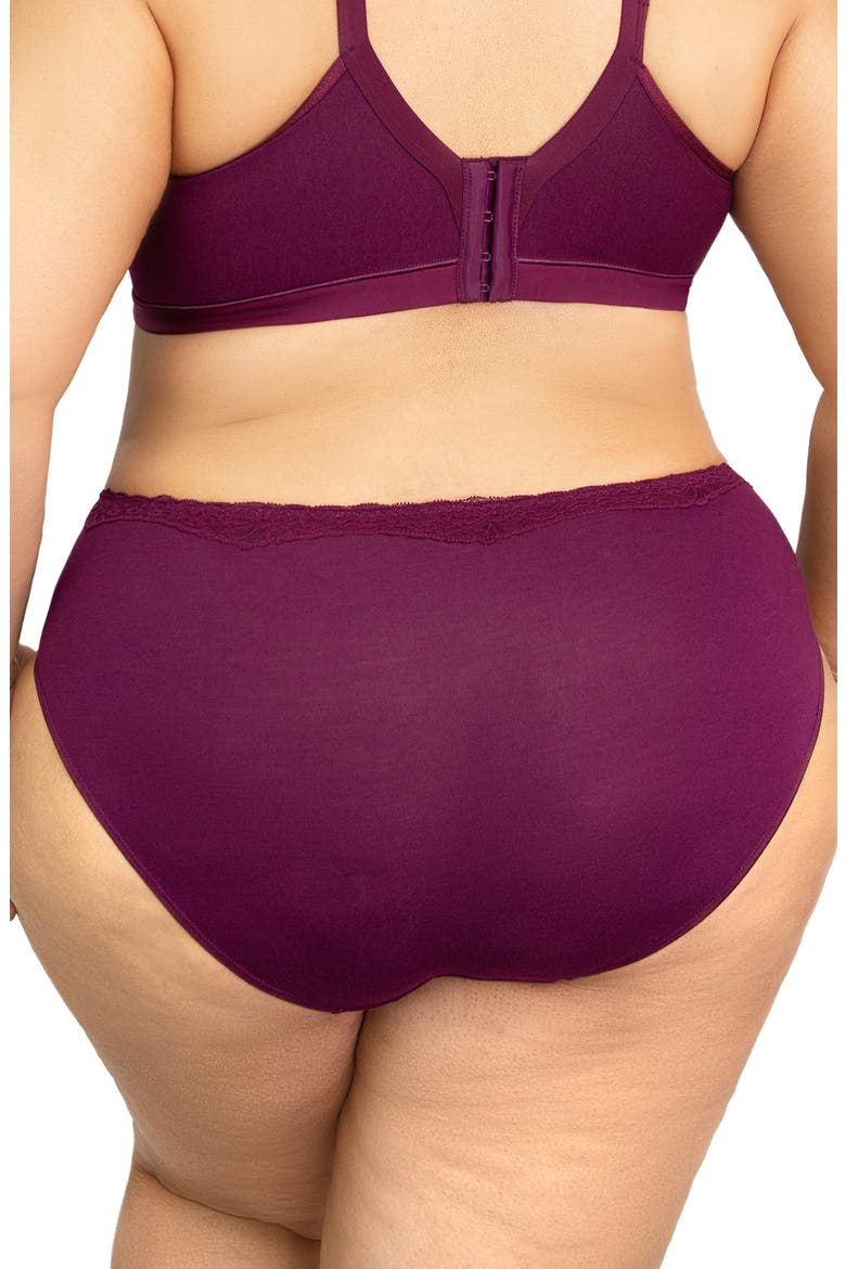 Luxe Hipster Briefs, Alternate, color, PURPLE VELVET