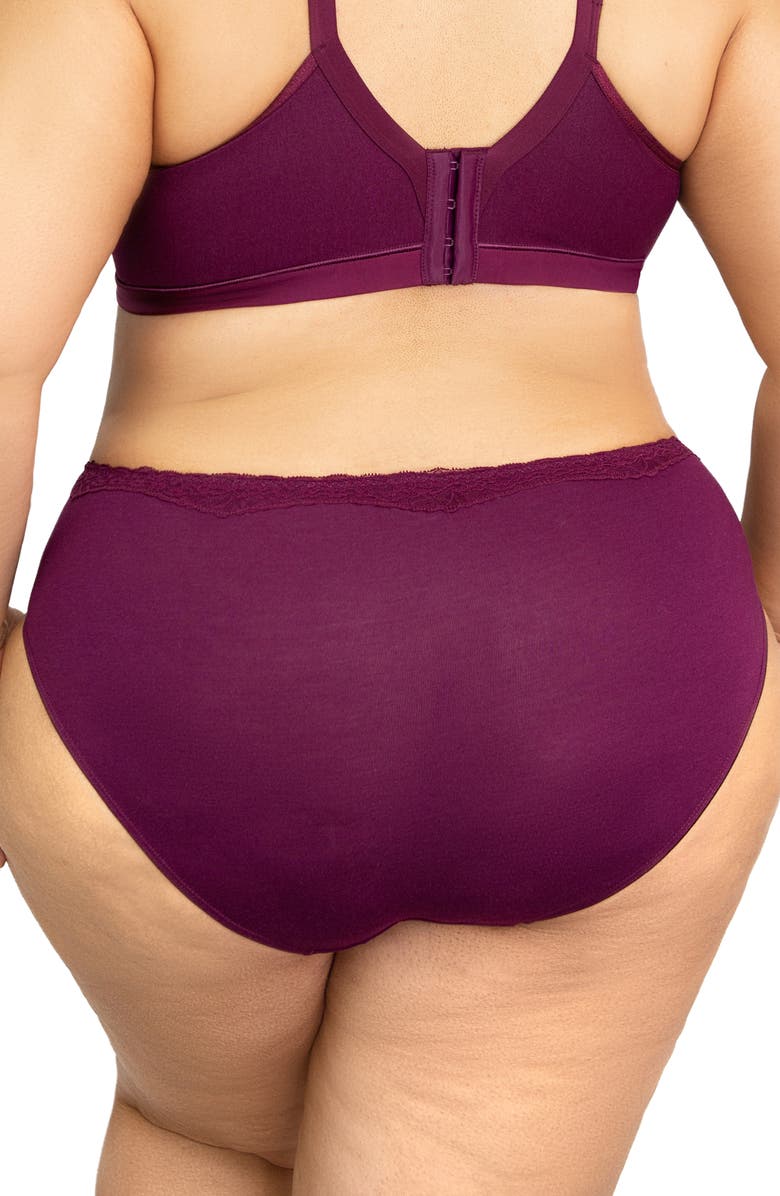 Curvy Couture Luxe Hipster Briefs, Alternate, color, Purple Velvet