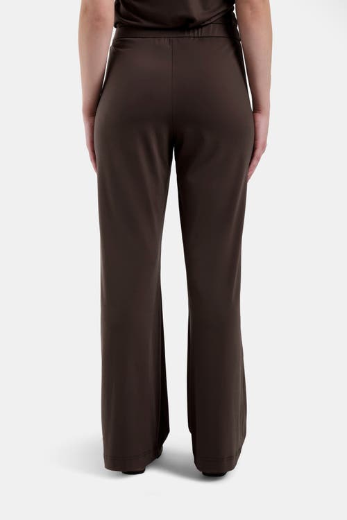 Capsule 121 The Castle Pant In Brown