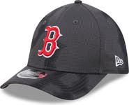 New Era Men's New Era Gray Boston Red Sox Halftone 39THIRTY Flex Hat