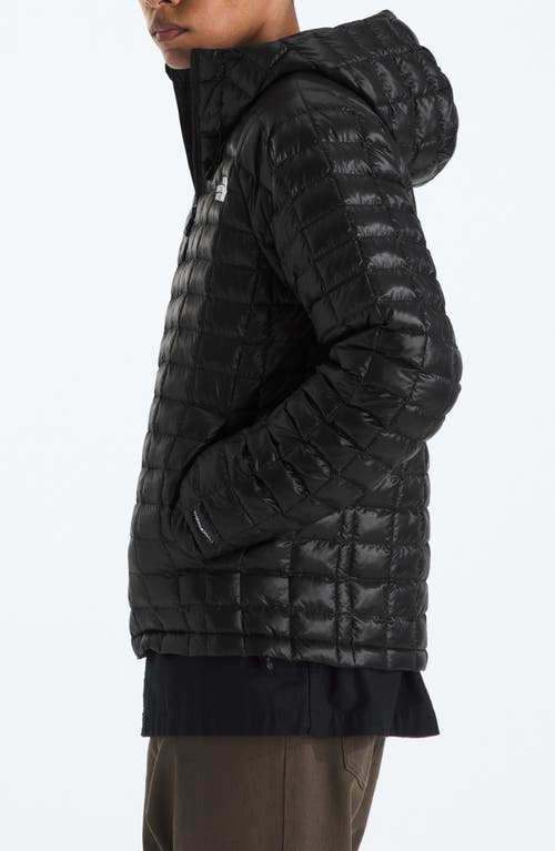 The North Face Thermoball Quilted Hooded Jacket In Black
