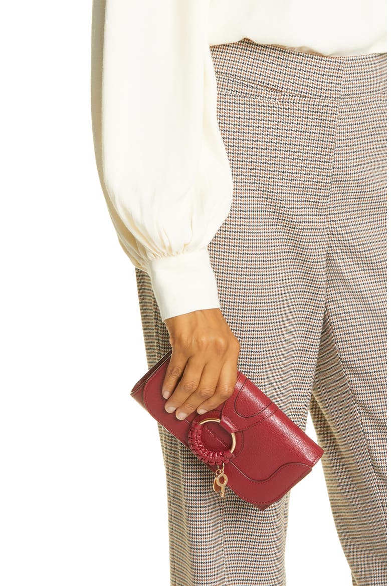 Hana Large Leather Wallet on a Chain, Alternate, color, SMOKED RED