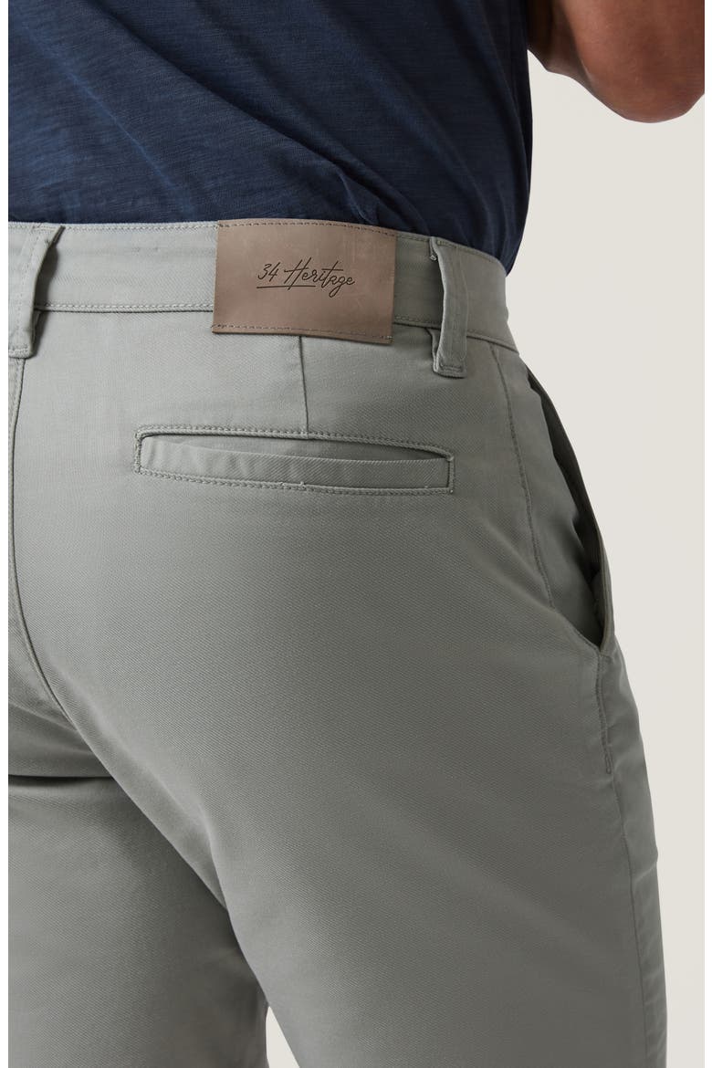 Arizona Flat Front Chino Shorts, Alternate, color, SAGE COOLMAX