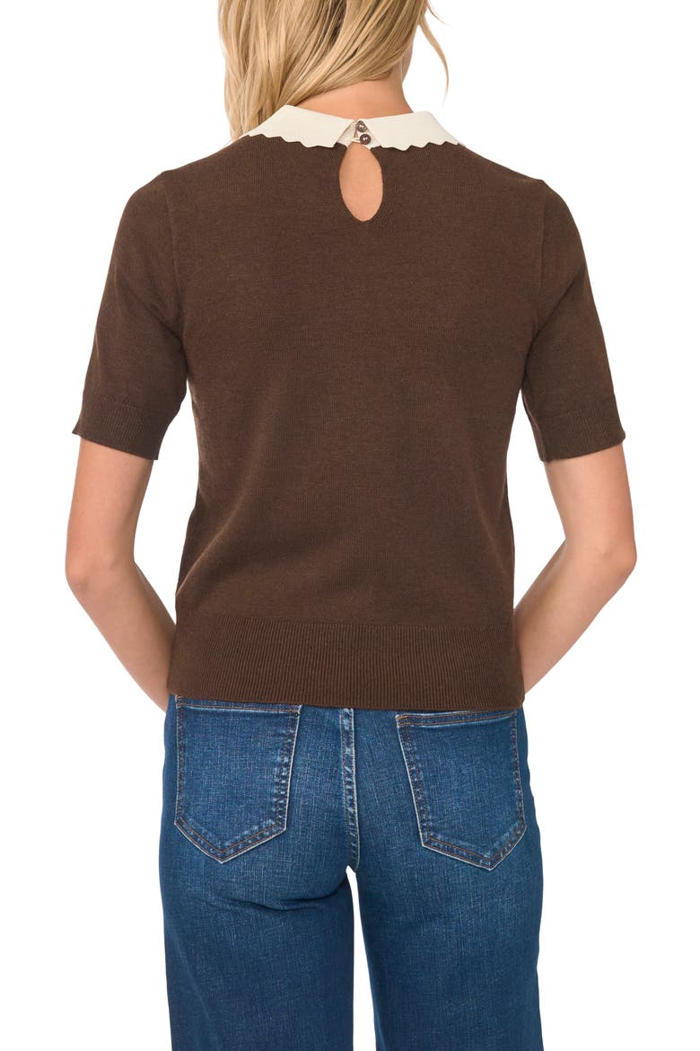Scallop Trim Collar Sweater, Alternate, color, RICH HICKORY