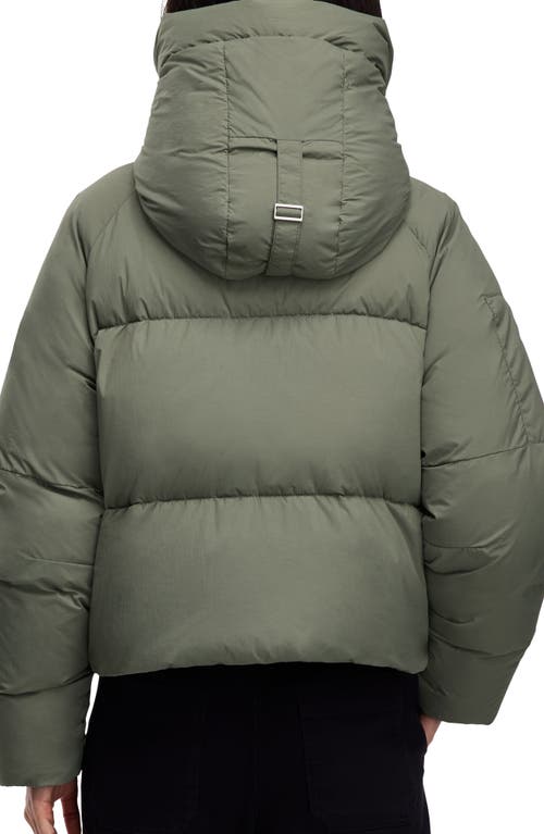 Canada Goose Chilliwack 750 Fill Power Down Puffer Jacket In Green