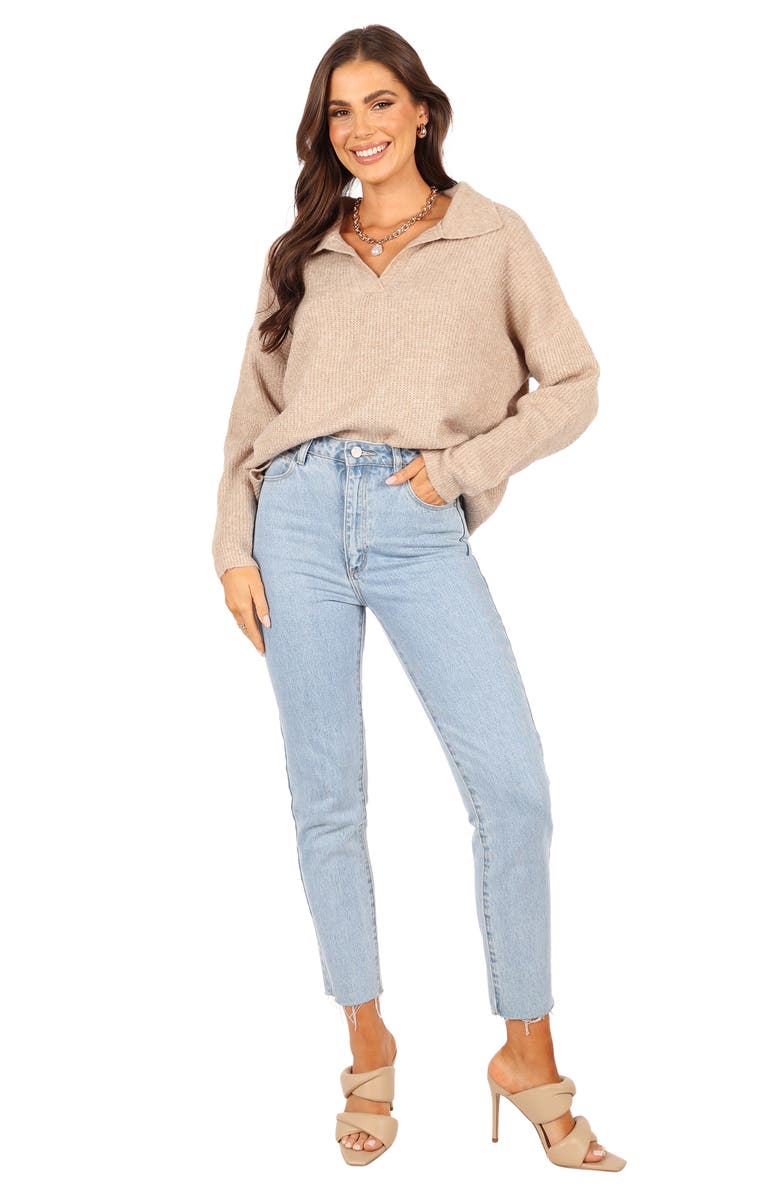 Petal & Pup Shay Oversized Sweater, Alternate, color, Beige