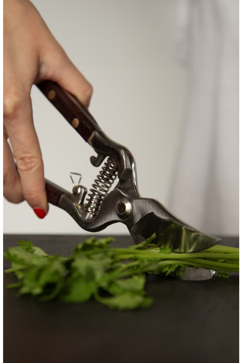 Thai Kitchen & Garden Shears, Alternate, color, SILVER