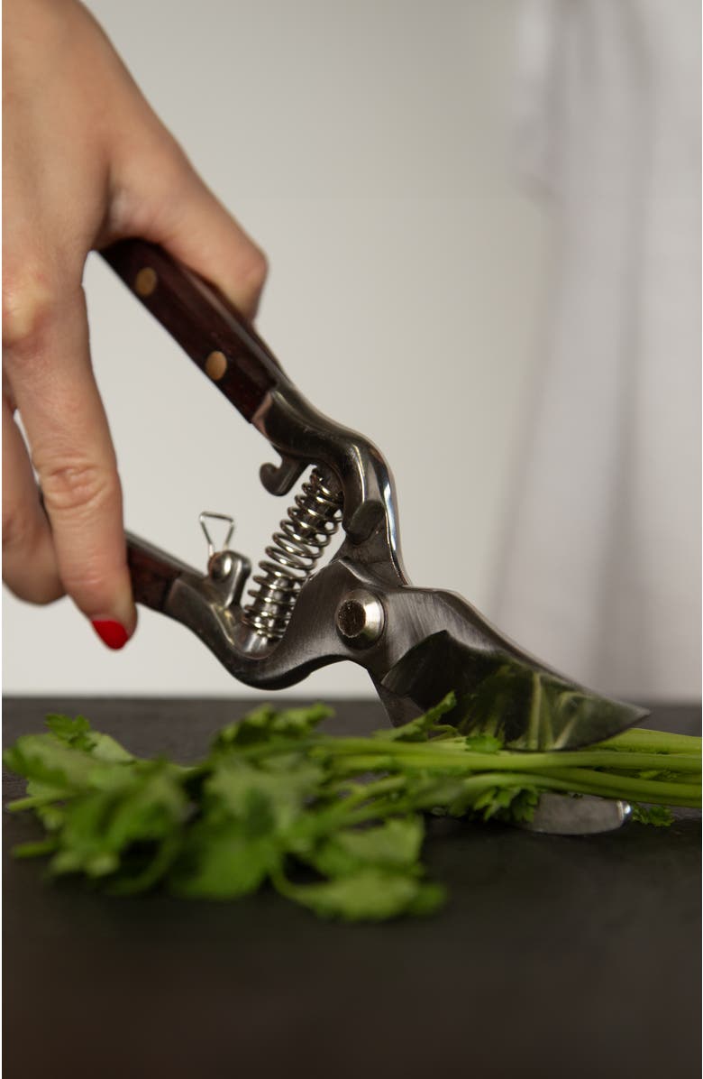 Verve Culture Thai Kitchen & Garden Shears, Alternate, color, NO COLOR