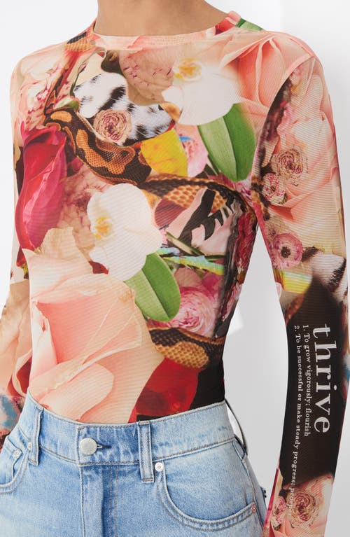 Alice And Olivia X Kelly Dabbah Delaina Mesh Long-sleeve Top In Thrive