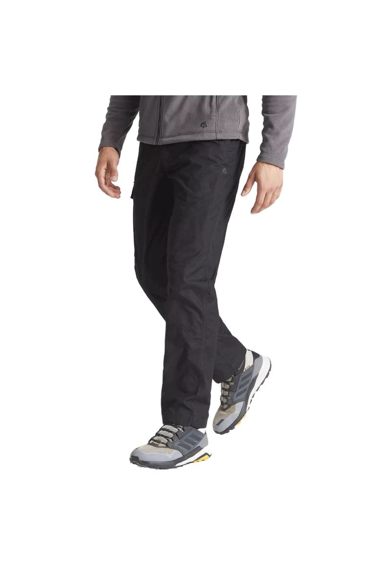 Expert Kiwi Tailored Pants, Main, color, Black