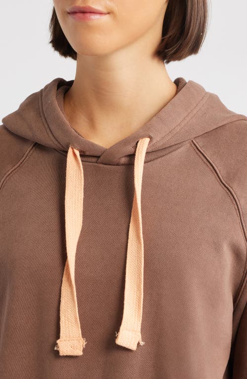 City Blues Crop Cotton Hoodie In Brown