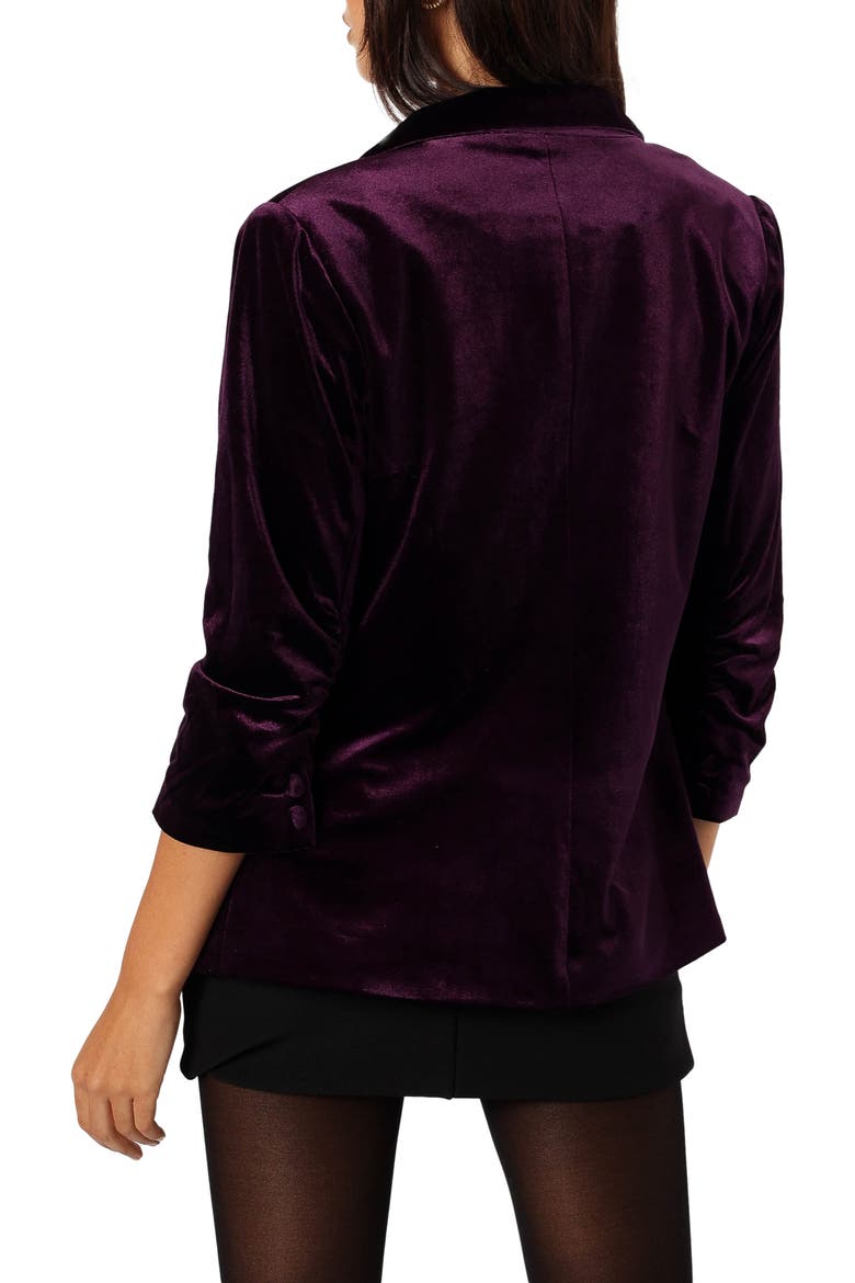 Vera Velvet Blazer, Alternate, color, PLUM