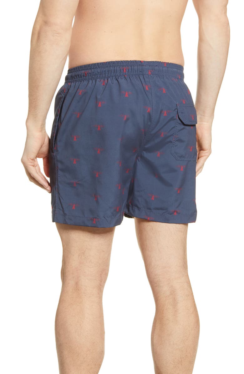 Barbour Coastal Print Swim Trunks, Alternate, color, 