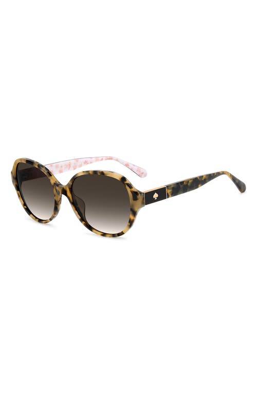 Kate Spade New York Emalie 56mm Gradient Oval Sunglasses In Havana/brown Sf