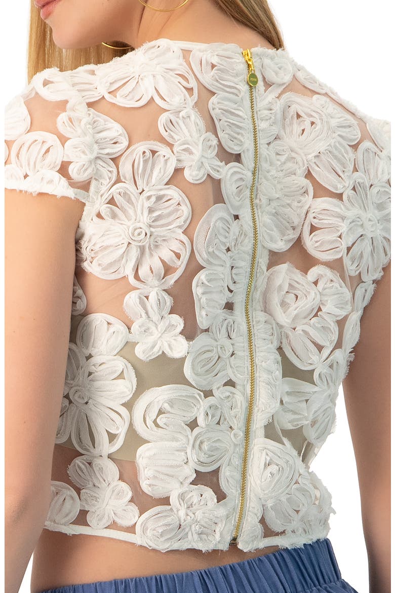 See-Through Embroidered Top, Alternate, color, Ivory