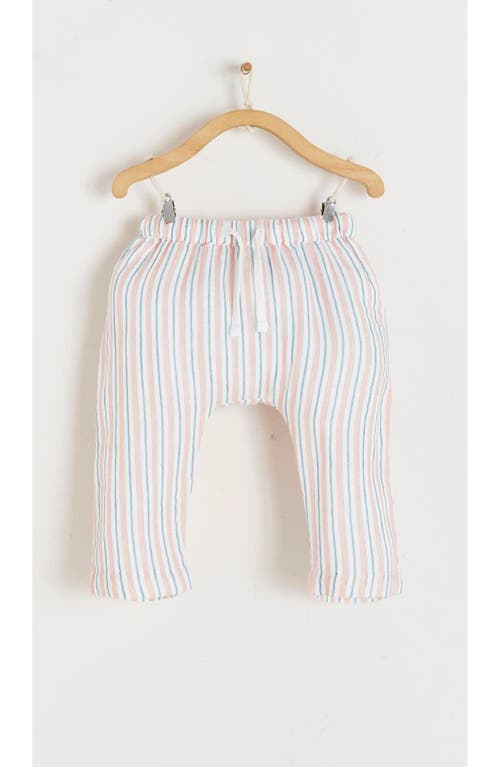 Babycottons Anna Muslin Set In Multicolor