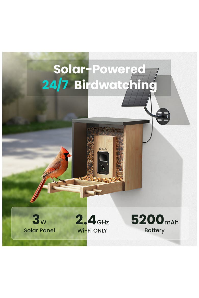 Bamboo Mini AI Solar Powered Bird Feeder, Alternate, color, NO COLOR