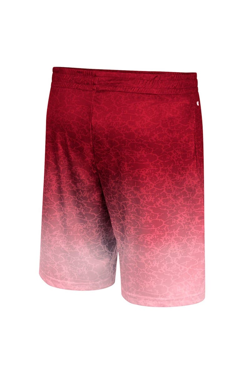 COLOSSEUM Men's Colosseum Cardinal Arkansas Razorbacks Walter Shorts, Alternate, color,