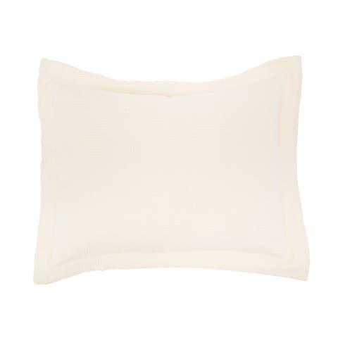 20" x 26" Delfina Ivory Cotton Standard Sham - Machine Washable