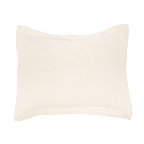 Elisabeth York 20" X 26" Delfina Ivory Cotton Standard Sham In White