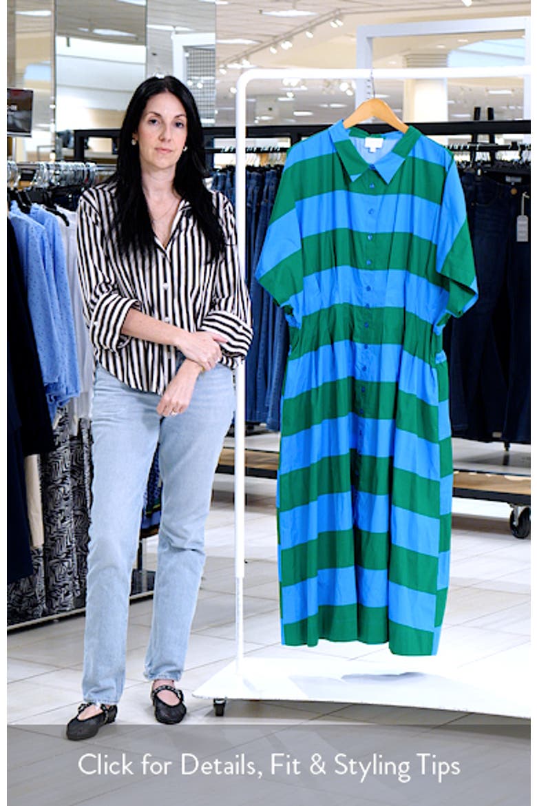 Wilderra Stripe Shirtdress video