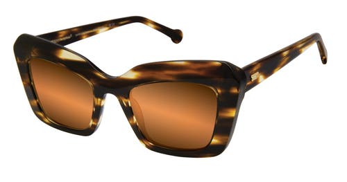Colors In Optics Monaco Sunglasses In Havana Tortoise