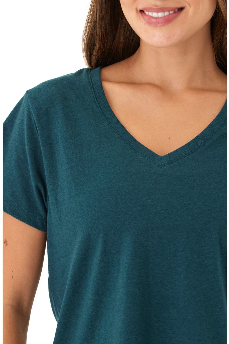 Ada V-Neck T-Shirt, Alternate, color, SERRANO