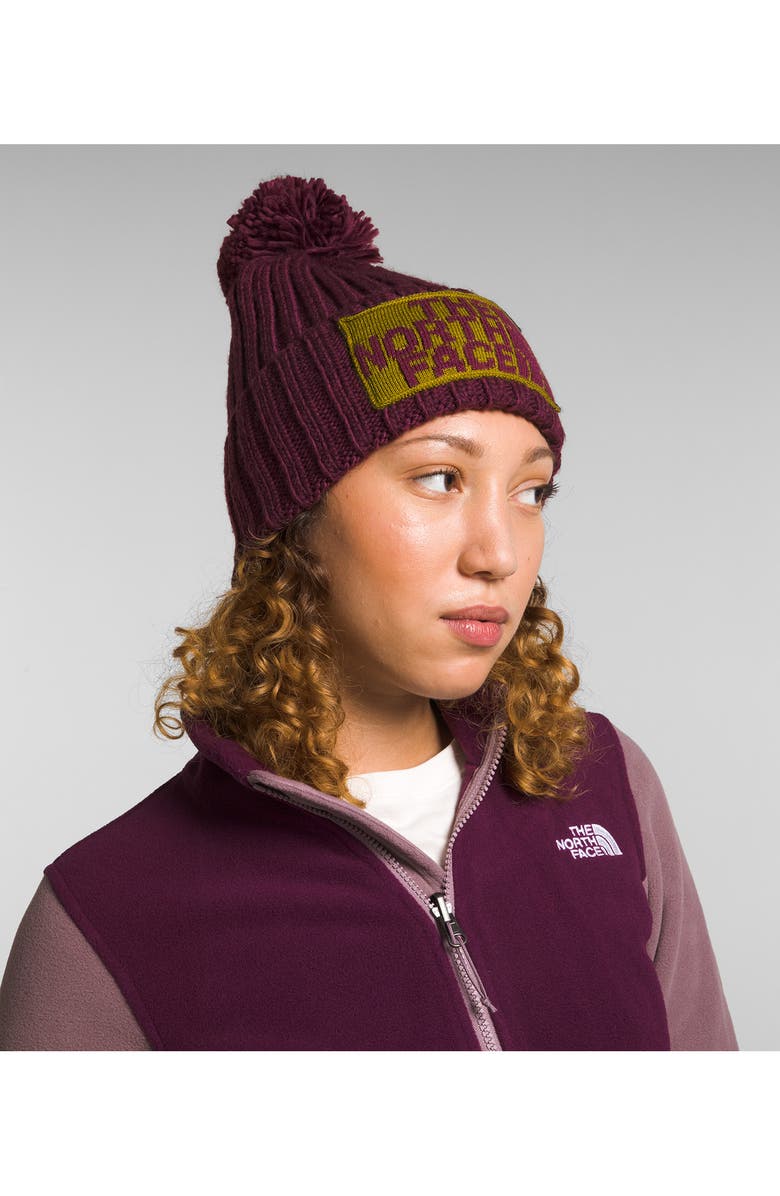 The North Face Heritage Ski Tuke Beanie, Alternate, color, 