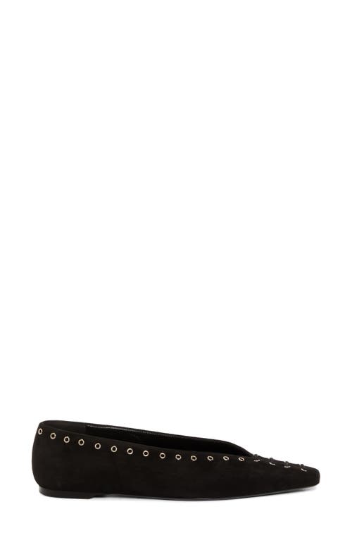 Totême Lace-up Eyelet-embellished Suede Ballet Flats In Pepper