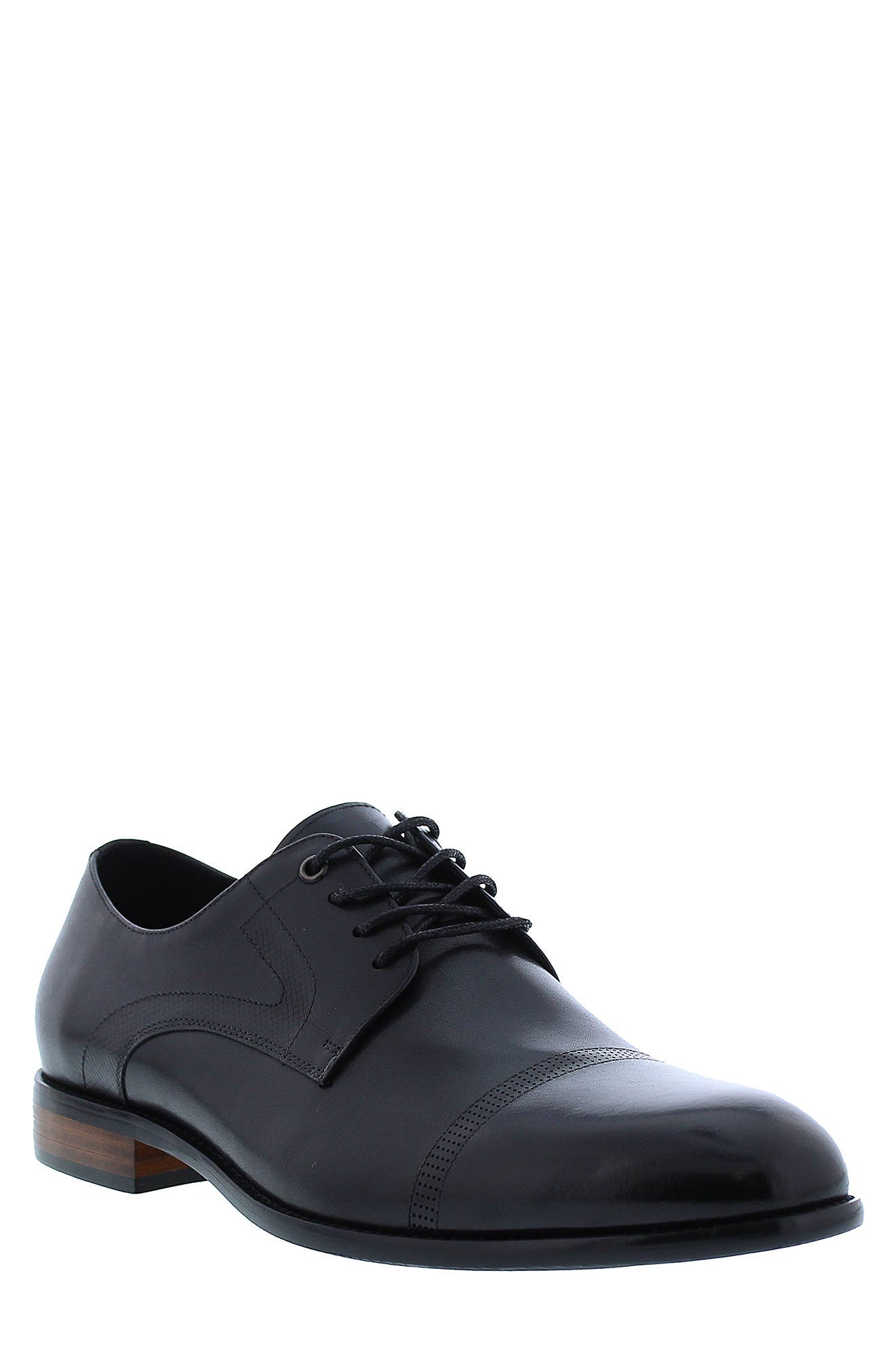 Zanzara Tobin Oxford, Main, color, 