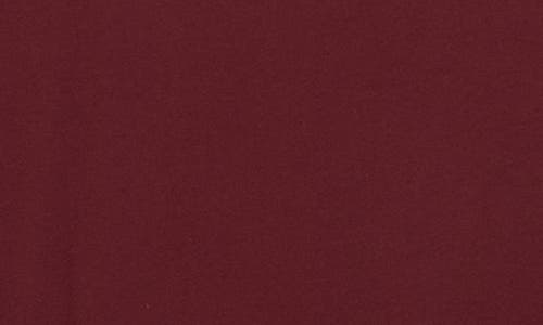 Puma Bmw M Motorsport Car Graphic T-shirt In Burgundy