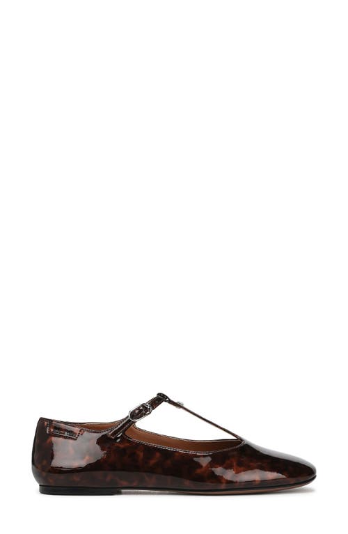 Franco Sarto Marylee T-strap Flat In Brown