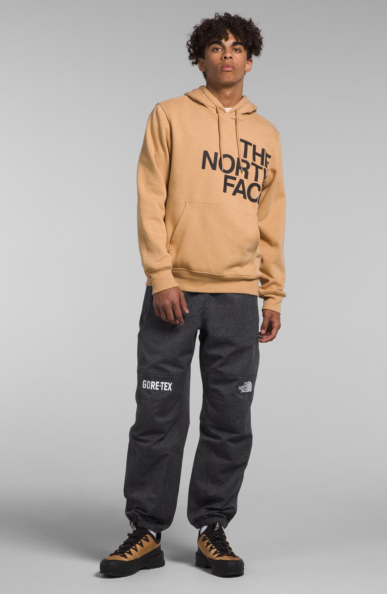 The North Face GTX Mountain Pants, Alternate, color, 