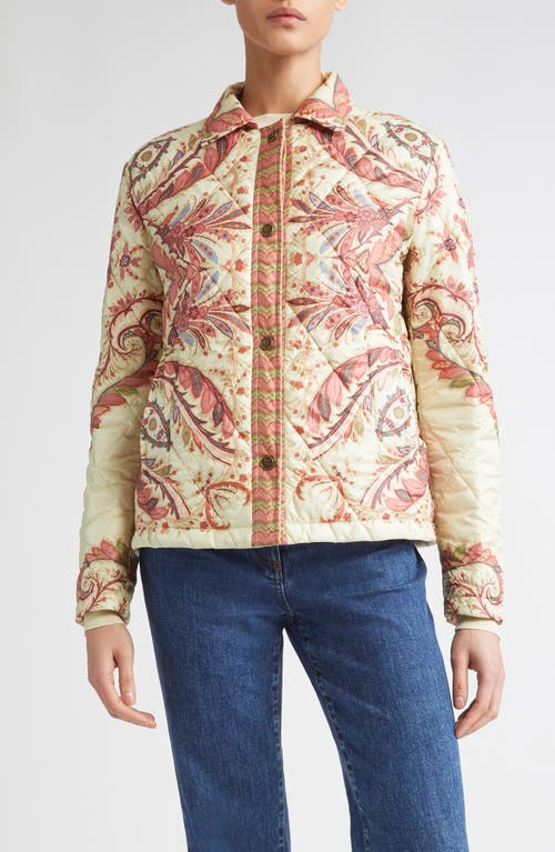 Etro Padded Jacket With Foliage Print In Multi