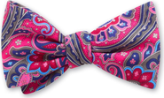 Beau Ties of Vermont Barshaw Silk Printed Bow Tie