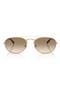  Matte Pale Gold / Yellow Brown