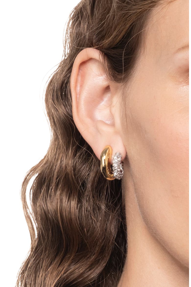 Solanales Crystal Double Hoop Earrings, Alternate, color, CRYSTALS
