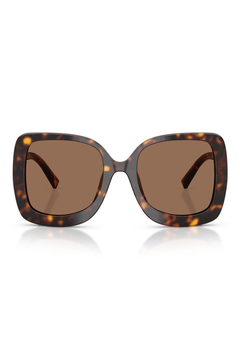 55mm Square Sunglasses, Main, color, HAVANA / DARK BROWN