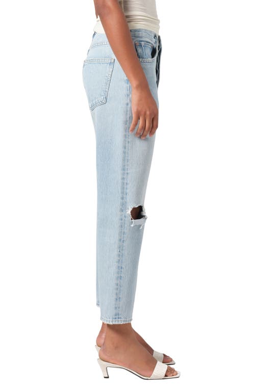 Shop Agolde '90s Ripped Mid Rise Crop Relaxed Straight Leg Jeans In Segment