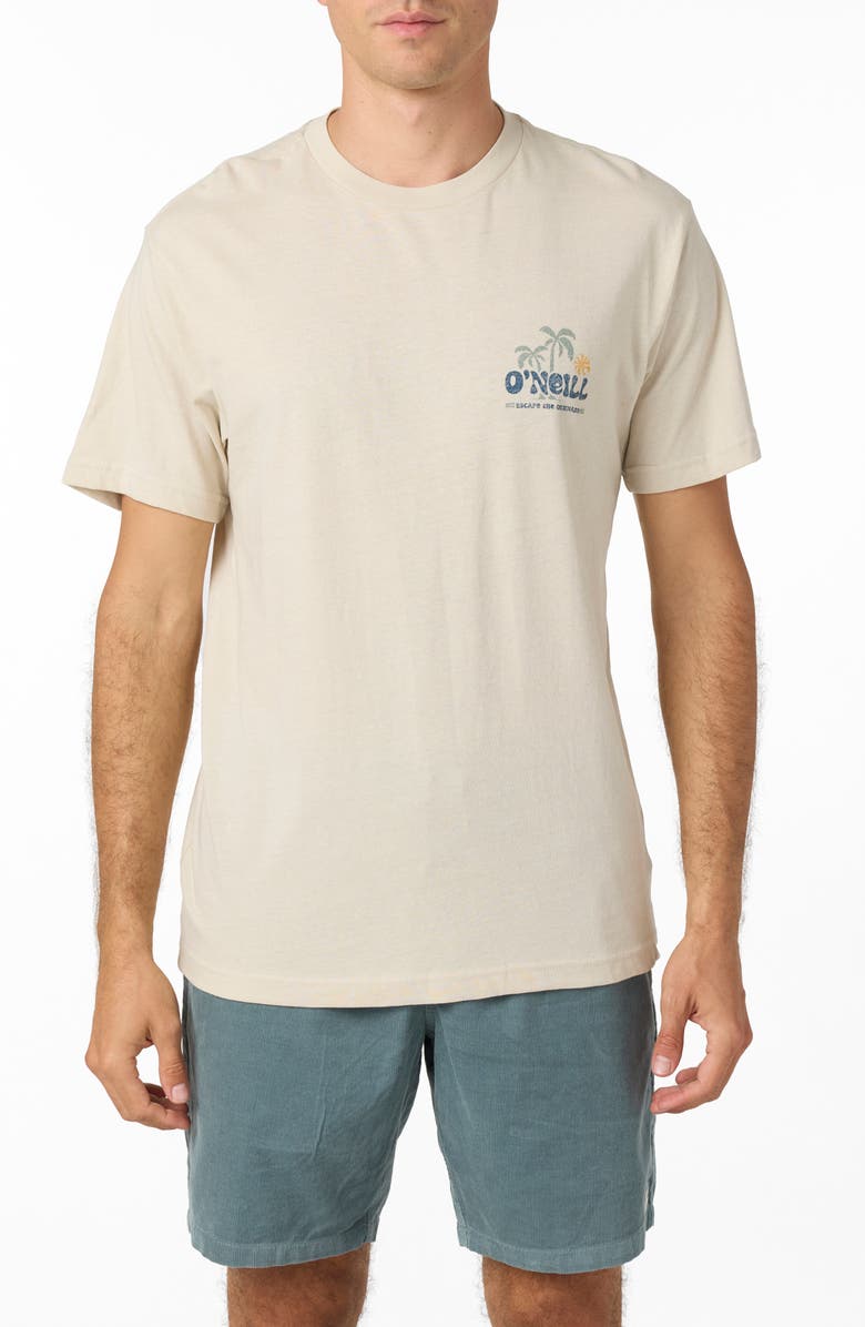 O'Neill Loose Graphic T-Shirt, Main, color, 